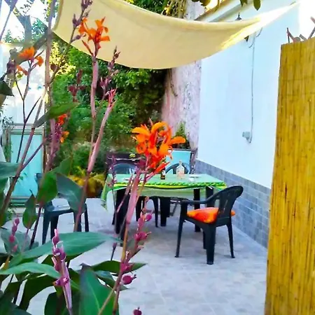 Orange House- Ciraccio *