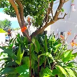 Lägenhet Orange House- Ciraccio Procida