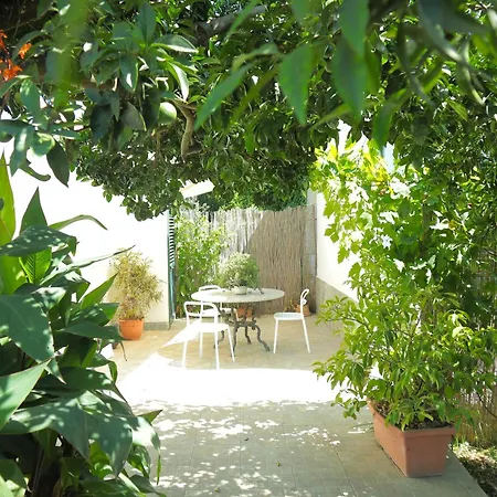 Orange House- Ciraccio