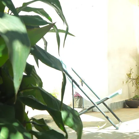 Orange House- Ciraccio Apartament *